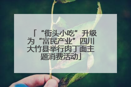 “街头小吃”升级为“富民产业”四川大竹县举行肉丁面主题消费活动