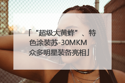 “超级大黄蜂”、特色涂装苏-30MKM 众多明星装备亮相