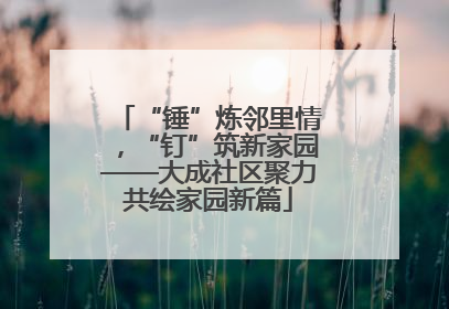“锤”炼邻里情，“钉”筑新家园——大成社区聚力共绘家园新篇