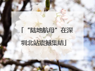 “陆地航母”在深圳北站震撼集结