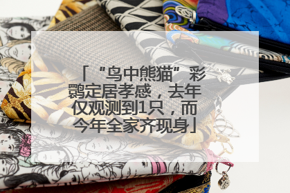 “鸟中熊猫”彩鹮定居孝感，去年仅观测到1只，而今年全家齐现身