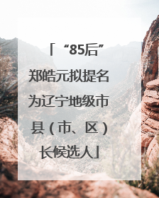 “85后”郑皓元拟提名为辽宁地级市县（市、区）长候选人