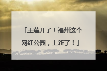 王莲开了！福州这个网红公园，上新了！