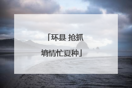 环县 抢抓墒情忙夏种