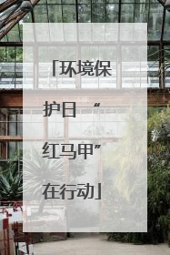 环境保护日 “红马甲”在行动