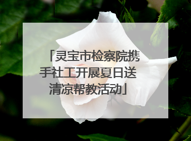 灵宝市检察院携手社工开展夏日送清凉帮教活动