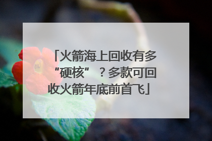 火箭海上回收有多“硬核”？多款可回收火箭年底前首飞