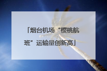 烟台机场“樱桃航班”运输量创新高