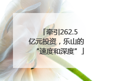 牵引262.5亿元投资，乐山的“速度和深度”