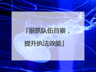 狠抓队伍督察，提升执法效能