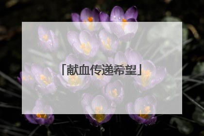 献血传递希望