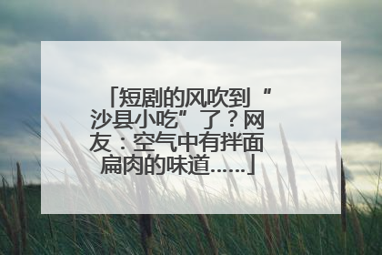 短剧的风吹到“沙县小吃”了？网友：空气中有拌面扁肉的味道……