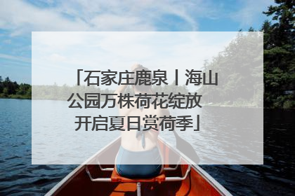 石家庄鹿泉丨海山公园万株荷花绽放 开启夏日赏荷季