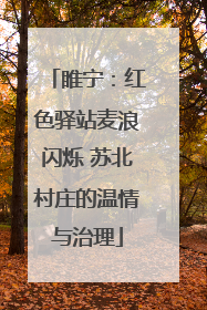 睢宁：红色驿站麦浪闪烁 苏北村庄的温情与治理