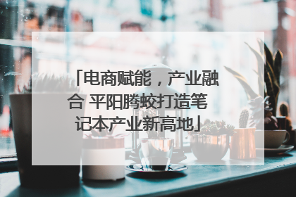 电商赋能，产业融合 平阳腾蛟打造笔记本产业新高地