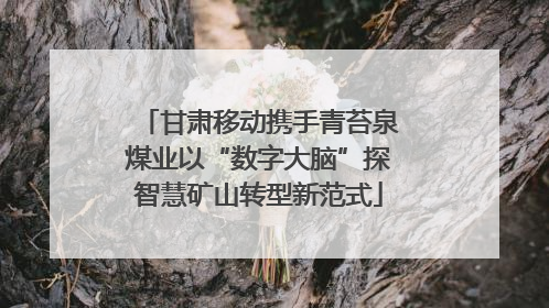 甘肃移动携手青苔泉煤业以“数字大脑”探智慧矿山转型新范式