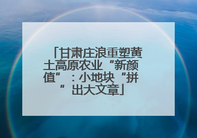 甘肃庄浪重塑黄土高原农业“新颜值”：小地块“拼”出大文章