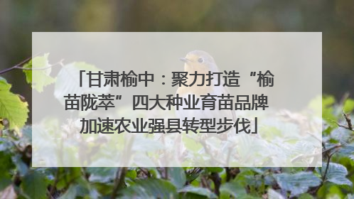 甘肃榆中：聚力打造“榆苗陇萃”四大种业育苗品牌 加速农业强县转型步伐