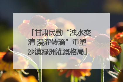 甘肃民勤“浊水变清 漫灌转滴”重塑沙漠绿洲灌溉格局