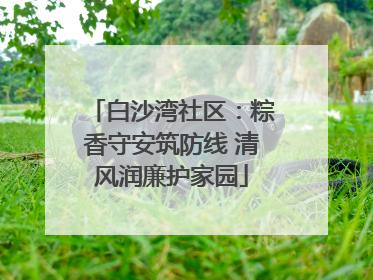 白沙湾社区：粽香守安筑防线 清风润廉护家园