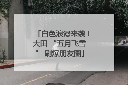 白色浪漫来袭！大田 “五月飞雪” 刷爆朋友圈