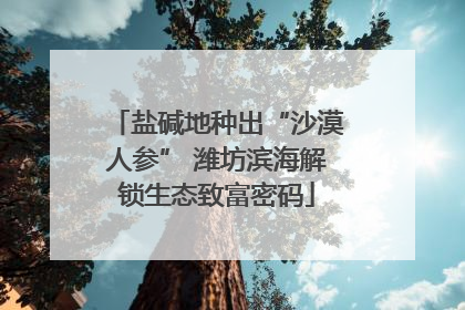 盐碱地种出“沙漠人参” 潍坊滨海解锁生态致富密码