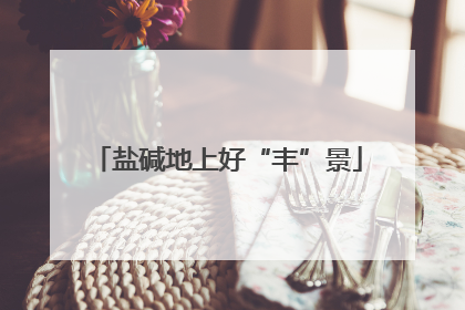 盐碱地上好“丰”景