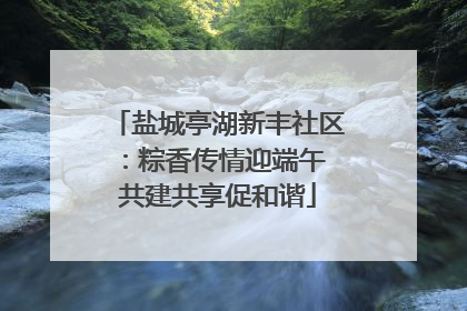 盐城亭湖新丰社区：粽香传情迎端午 共建共享促和谐