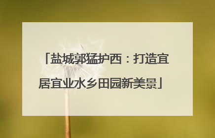 盐城郭猛护西：打造宜居宜业水乡田园新美景