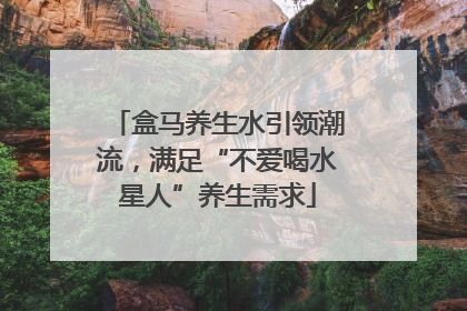 盒马养生水引领潮流，满足“不爱喝水星人”养生需求
