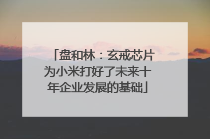 盘和林：玄戒芯片为小米打好了未来十年企业发展的基础