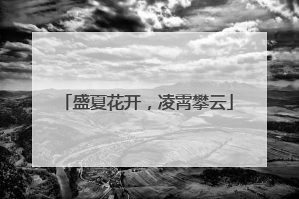 盛夏花开，凌霄攀云