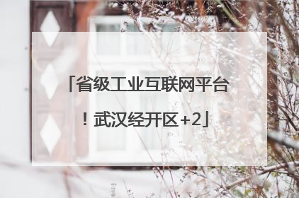 省级工业互联网平台！武汉经开区+2