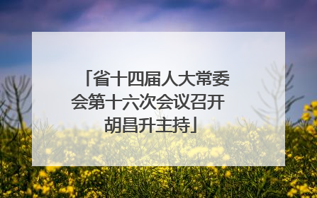 省十四届人大常委会第十六次会议召开 胡昌升主持
