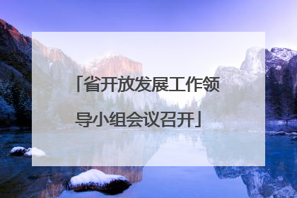 省开放发展工作领导小组会议召开