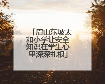 眉山东坡太和小学让安全知识在学生心里深深扎根