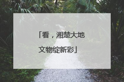 看，湘楚大地文物绽新彩