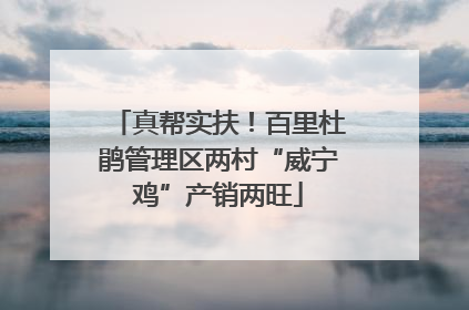 真帮实扶！百里杜鹃管理区两村“威宁鸡”产销两旺