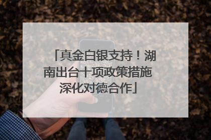 真金白银支持！湖南出台十项政策措施深化对德合作