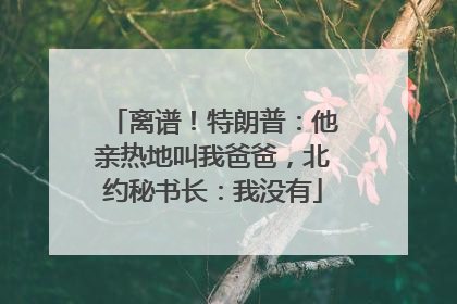 离谱！特朗普：他亲热地叫我爸爸，北约秘书长：我没有