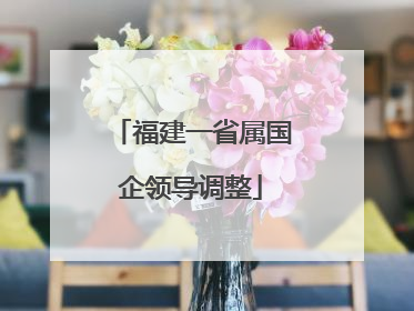 福建一省属国企领导调整