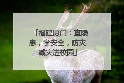 福建厦门：查隐患，学安全，防灾减灾进校园