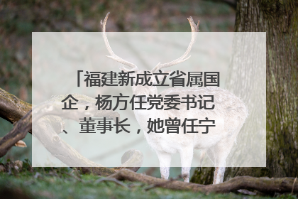 福建新成立省属国企，杨方任党委书记、董事长，她曾任宁德市委副书记｜张田怡已任县委副书记、县政府党组书记