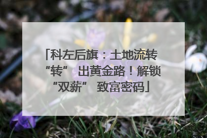 科左后旗：土地流转 “转” 出黄金路！解锁 “双薪” 致富密码