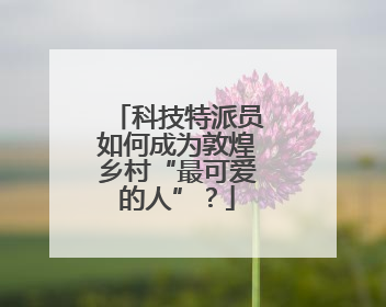 科技特派员如何成为敦煌乡村“最可爱的人”？