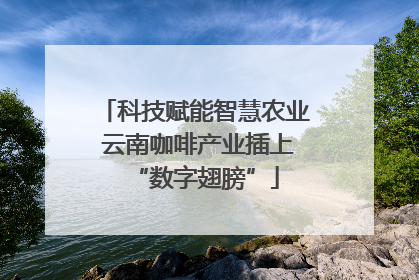 科技赋能智慧农业 云南咖啡产业插上“数字翅膀”
