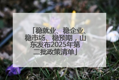 稳就业、稳企业、稳市场、稳预期，山东发布2025年第二批政策清单