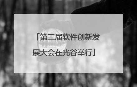 第三届软件创新发展大会在光谷举行