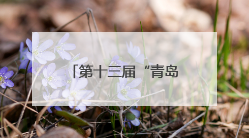 第十三届“青岛出版杯”全国业余围棋公开赛在青岛胶州开赛