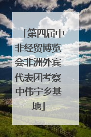 第四届中非经贸博览会非洲外宾代表团考察中伟宁乡基地